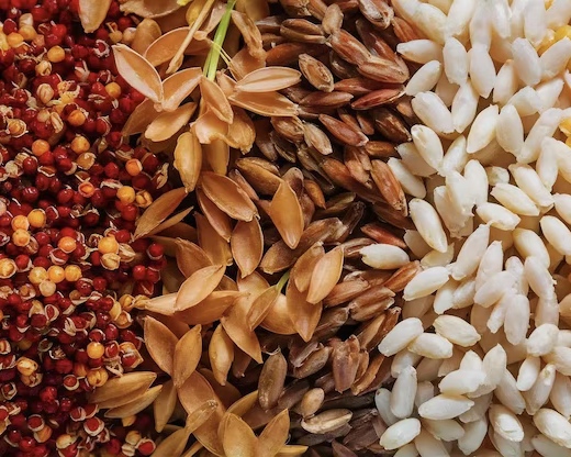 Flat-Bottom Mixer（images 5）