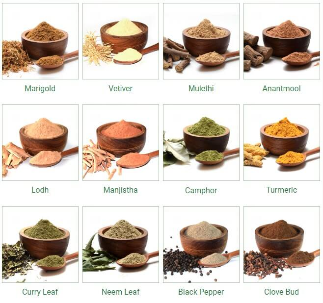 Stainless Steel Hammer Mill（images 3）