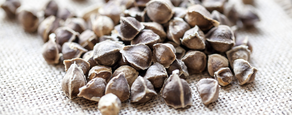 Pcreate’s Moringa Powder Grinding Machine: Efficiently grinds moringa powder, compatible with both moringa leaves and seeds（images 12）