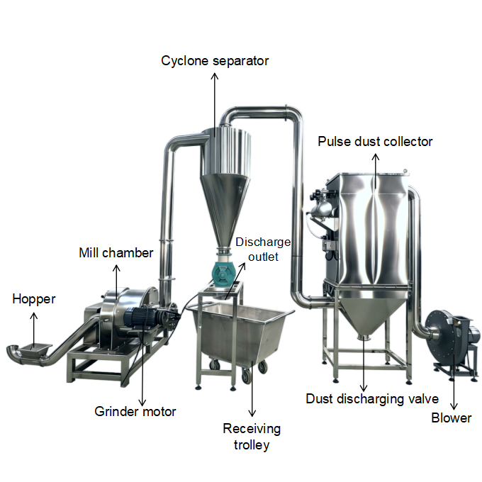 Turkish Customer Visits Our Factory for Ultrafine Pulverizer Testing（images 2）